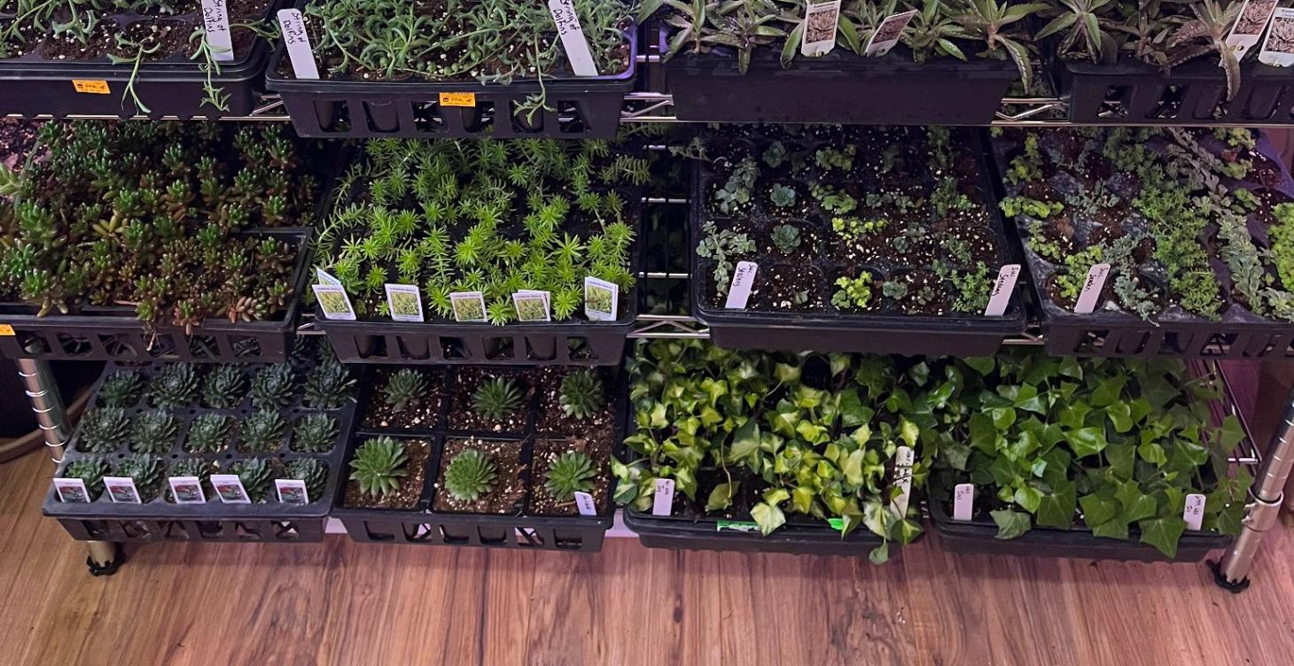 Module 8: The Great Debate