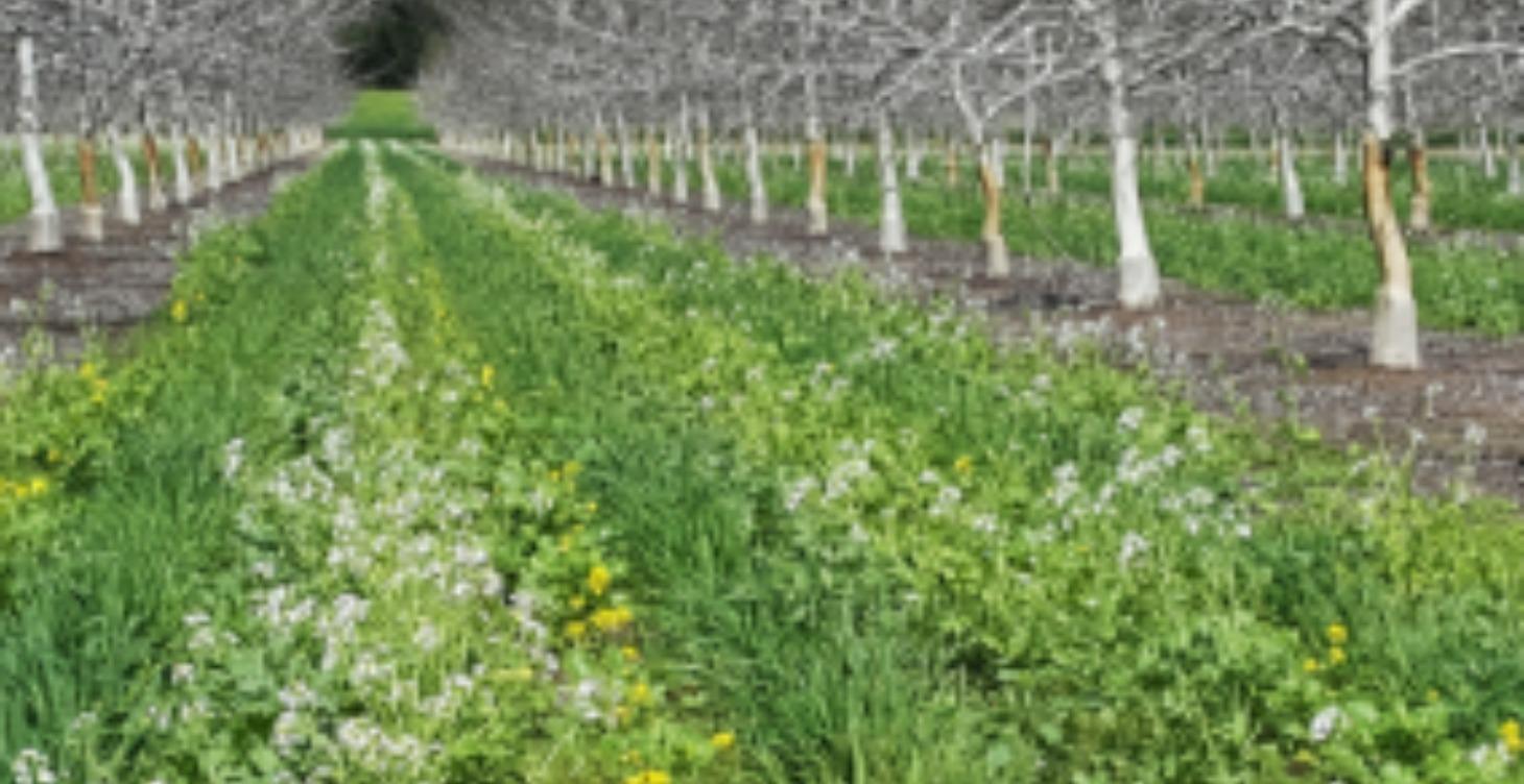 Module 17: The Living Blanket