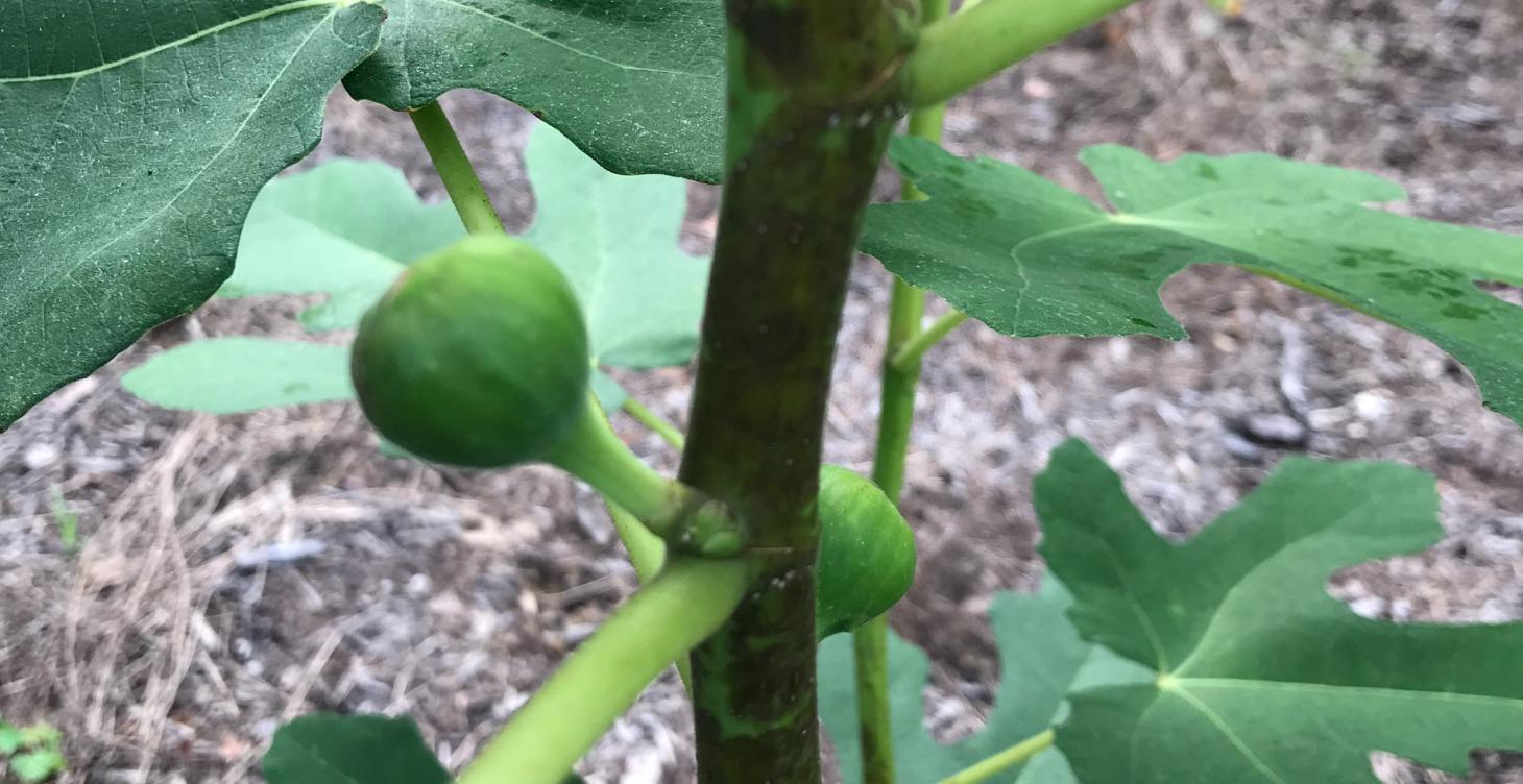 Module 7: The Rhythm of Life