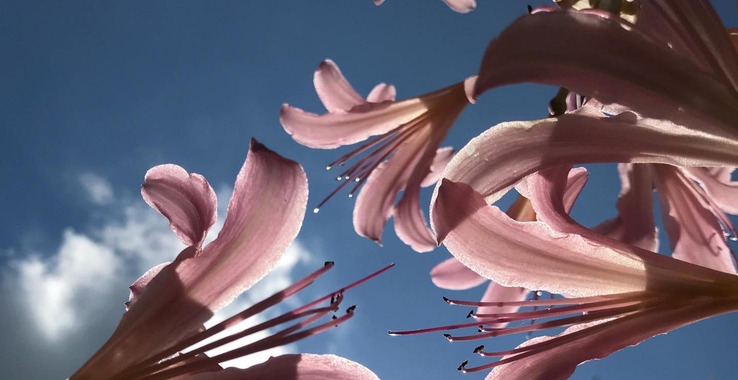 Module 1: Welcome to the Boxcroft Masterclass