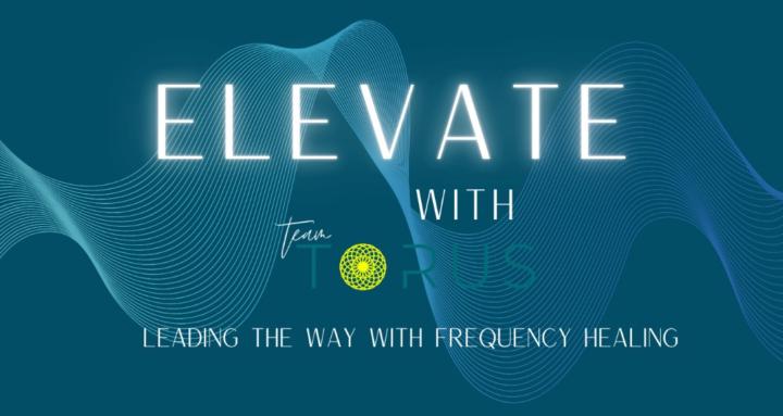 Elevate with Team Torus