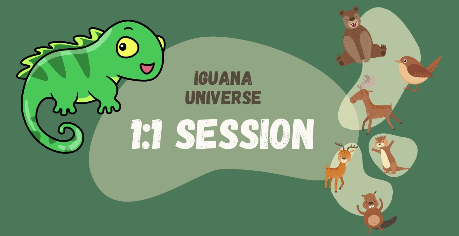🪐 1:1 session with Iguana