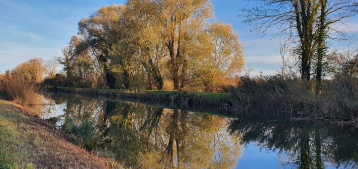 Marie Christine Cramponne