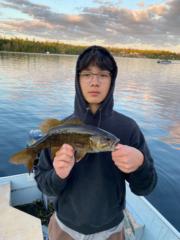 Matthew Kim