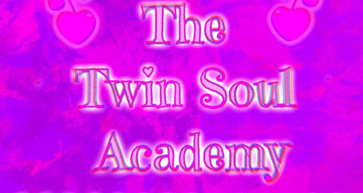 The Twin Soul Academy