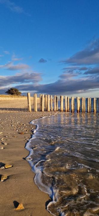 Gwen Kern