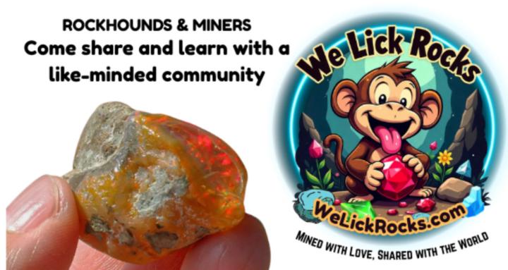 We Lick Rocks