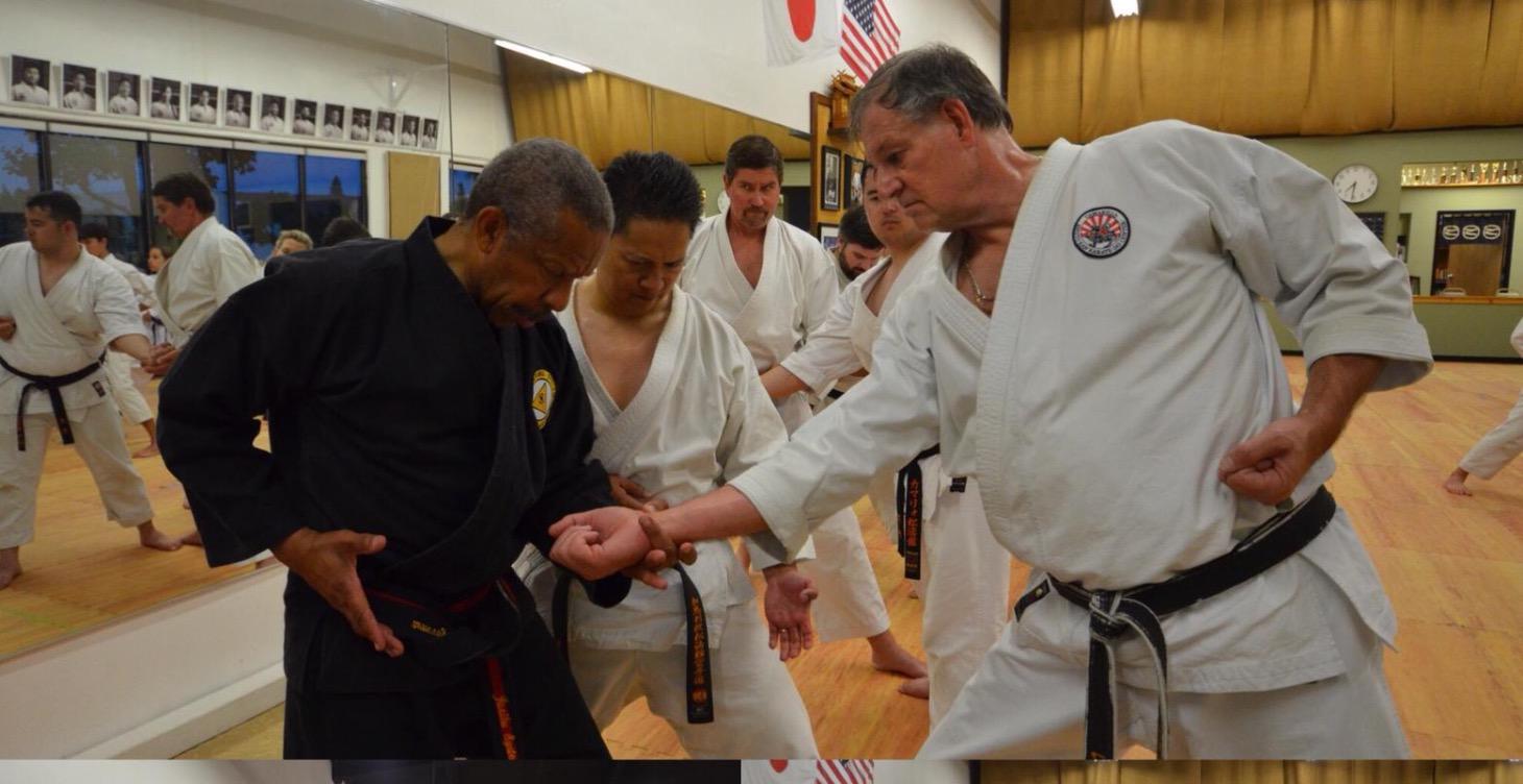 The Neophyte in the JaribuSystem Martial Arts