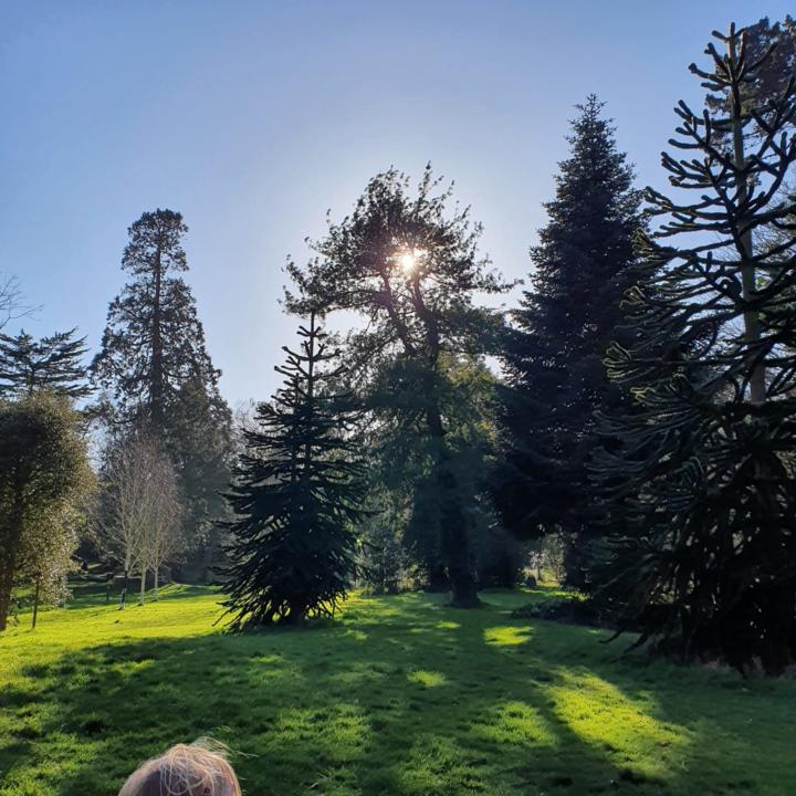 Wellbeing for Everyday Life