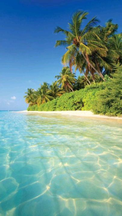 Vibhusha Seewoogolam