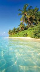 Vibhusha Seewoogolam