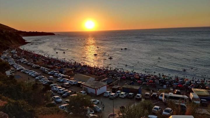 فضيلة ناصري