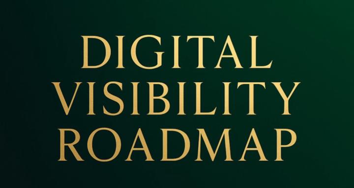 Digital Visibility Accelerator