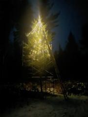 Nicholas Lind Behrends