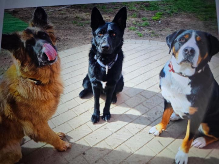 Brigitte Hartmann-Stamm