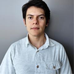 Ronald Araya