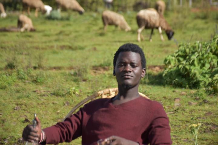 Michael Cheloti