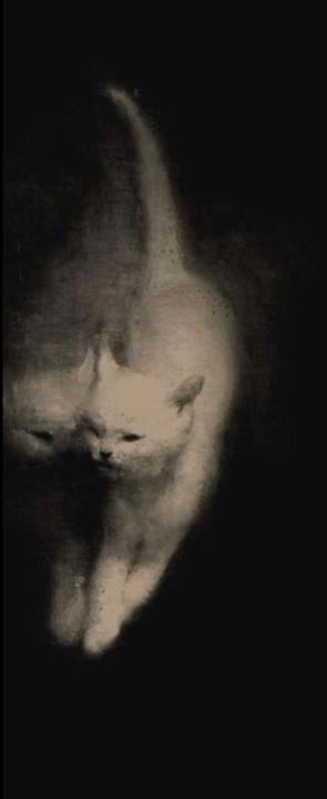 Saranlynhua Enhbaatar