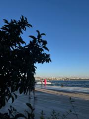 Noura J