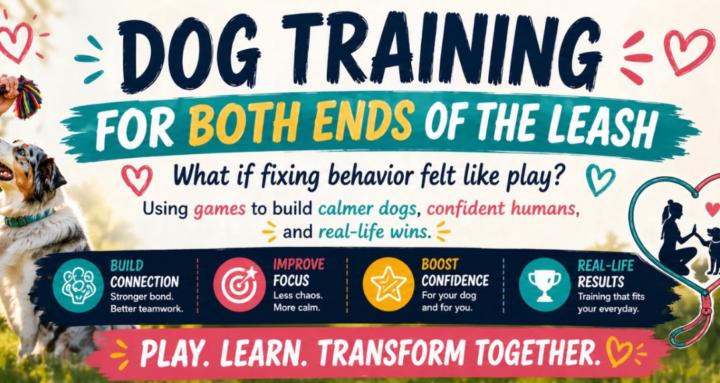Games- Based Dog Training 