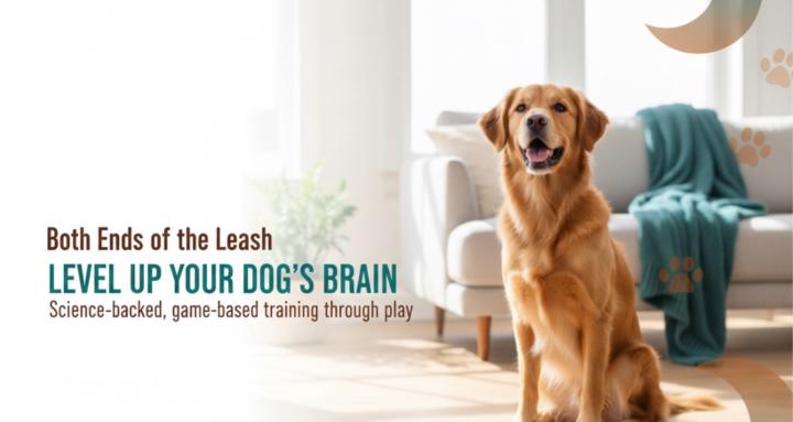 Games- Based Dog Training 