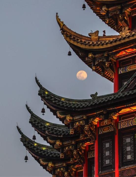 Maria Fernanda Gómez