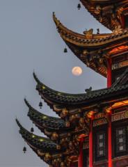 Maria Fernanda Gómez