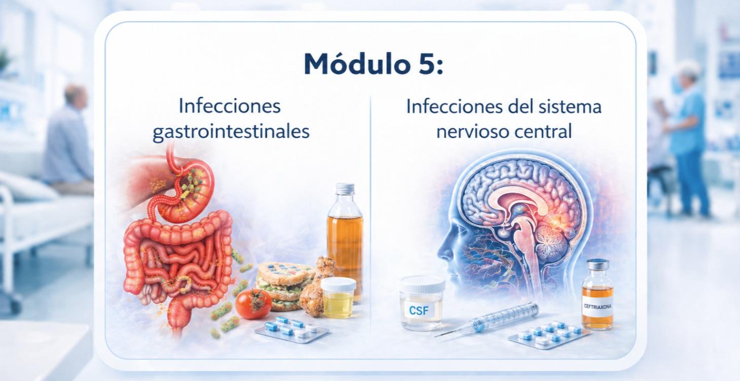 Módulo 5