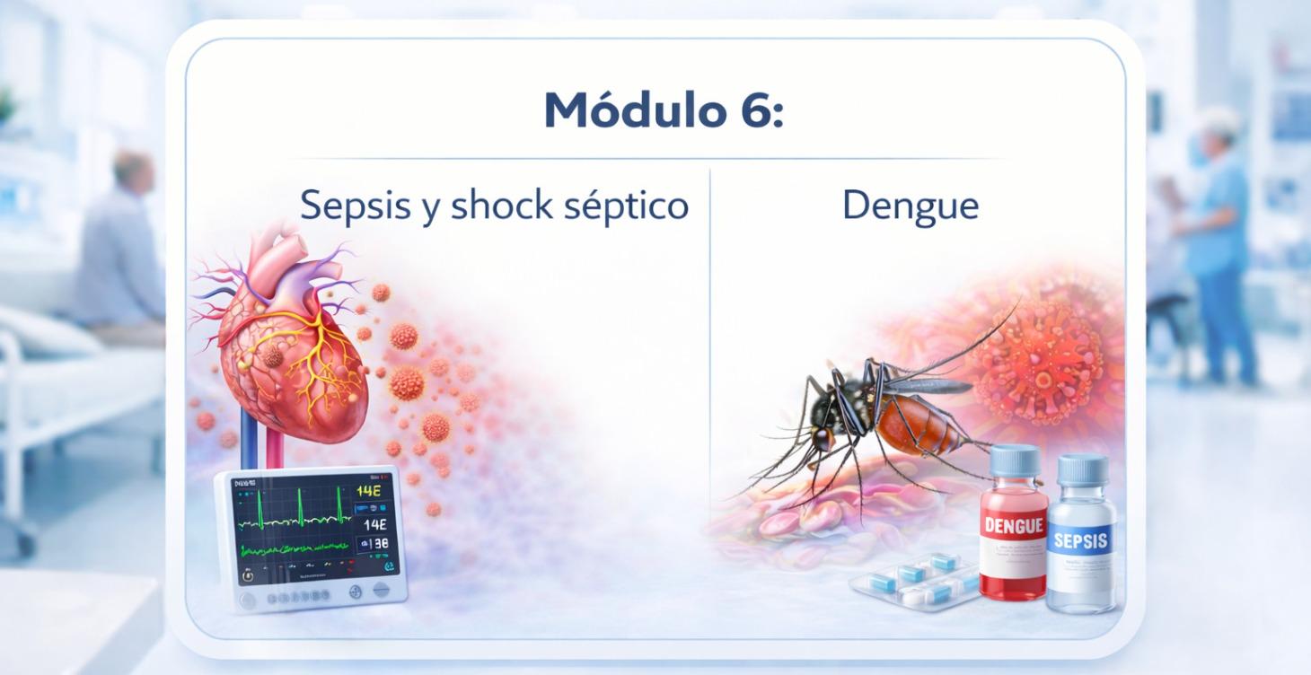 Módulo 6