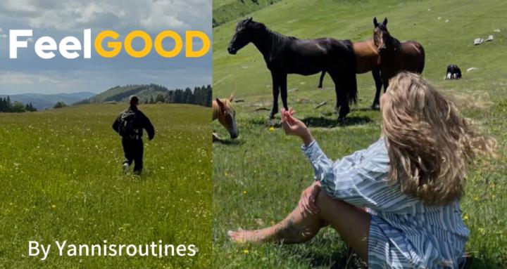 FeelGood Kollektiv