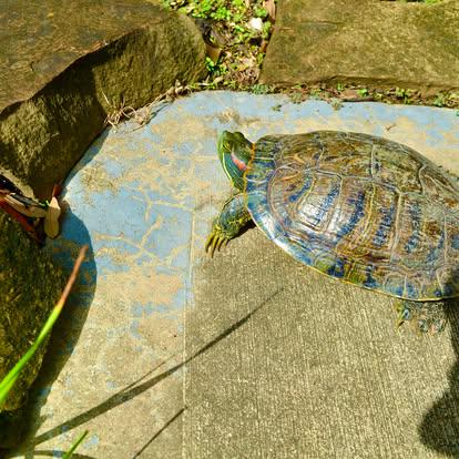 Slow Down...So You Can Hear The MESSENGER Life Sent To Your DOOR...