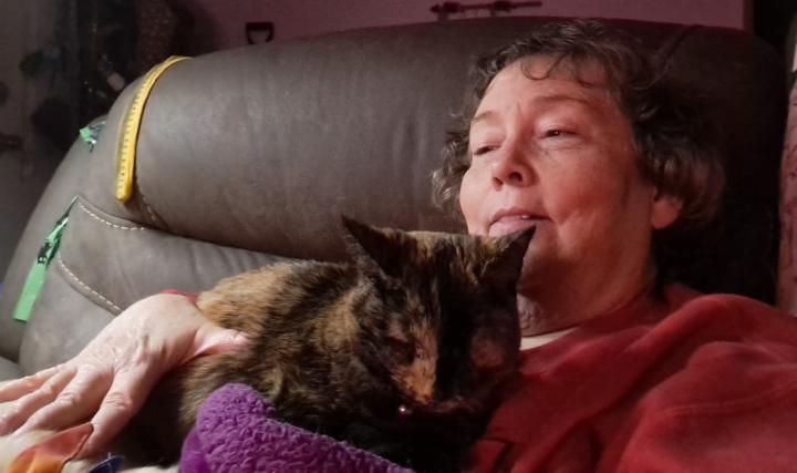 Covered in fur babies!