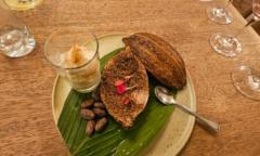 Yulisa Choquehuanca Huamani