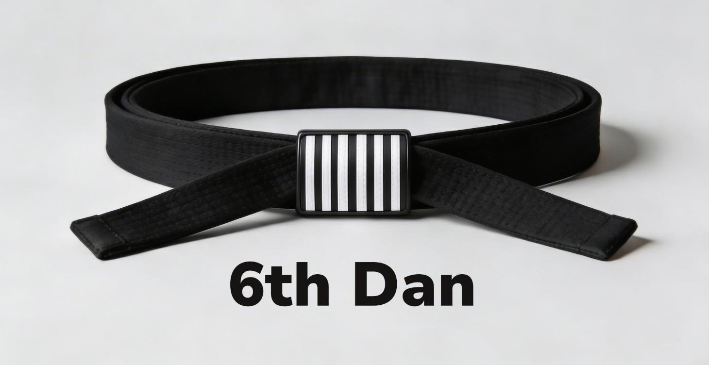 New Rank Achieved - 6th Dan