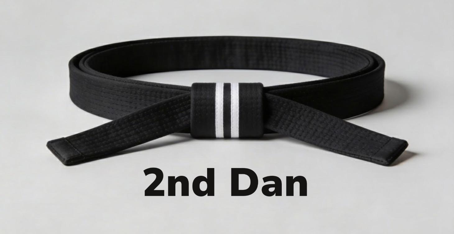 New Rank Achieved - 2nd dan