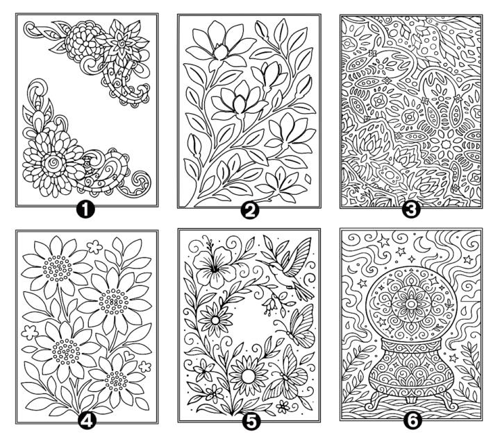 🤖 Coloring Pages: AI or Not AI
