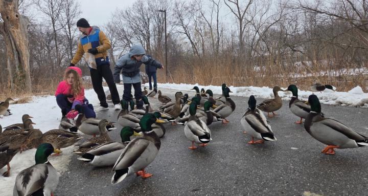 Journey w/ Multiple Sclerosis