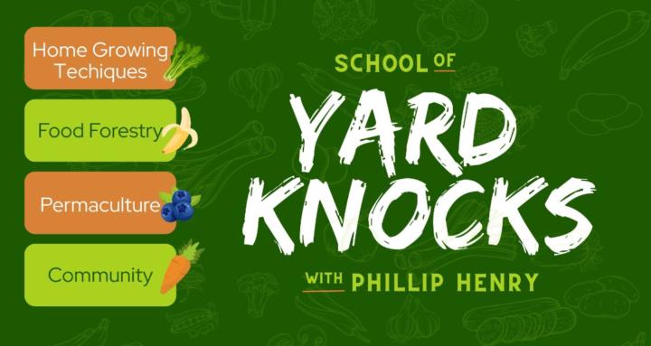 School Of Yard Knocks