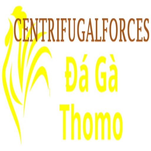 Đá Gà Trực Tiếp Thomo