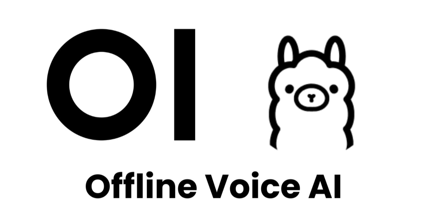 Mastering Offline Voice AI