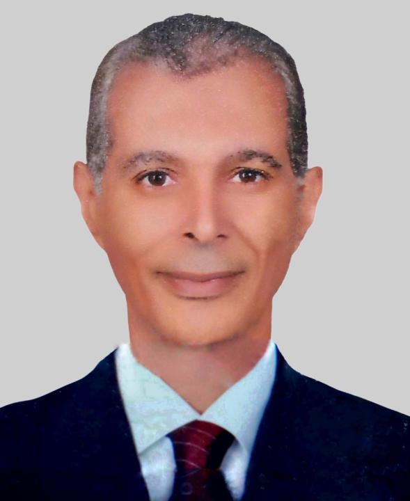 Wael M Khamis