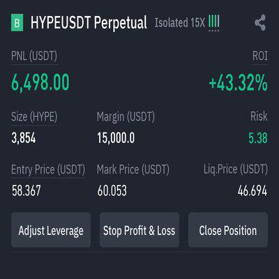 Last 24 Hours Pump Results: 478.6% 🔥
