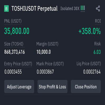 Last 24 Hours Pump Results: 767.7% 🔥