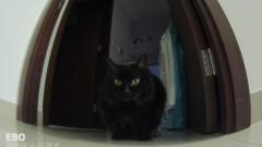 Jean Paul Imparato