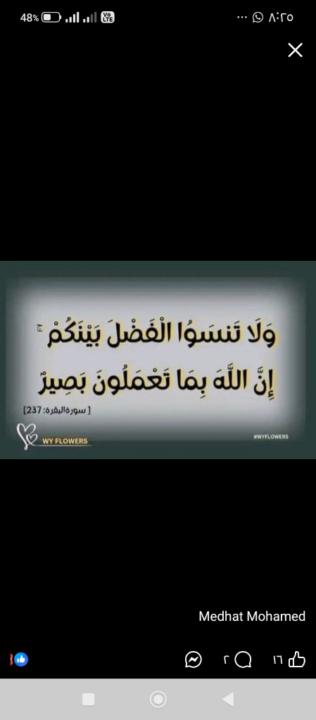 محمد اسماعيل