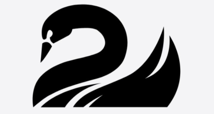 Black Swan Op.