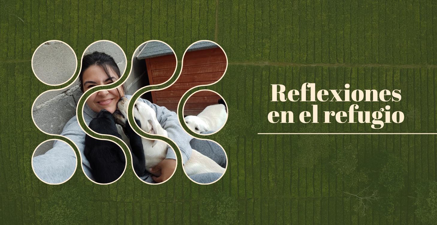 Reflexiones en el refugio