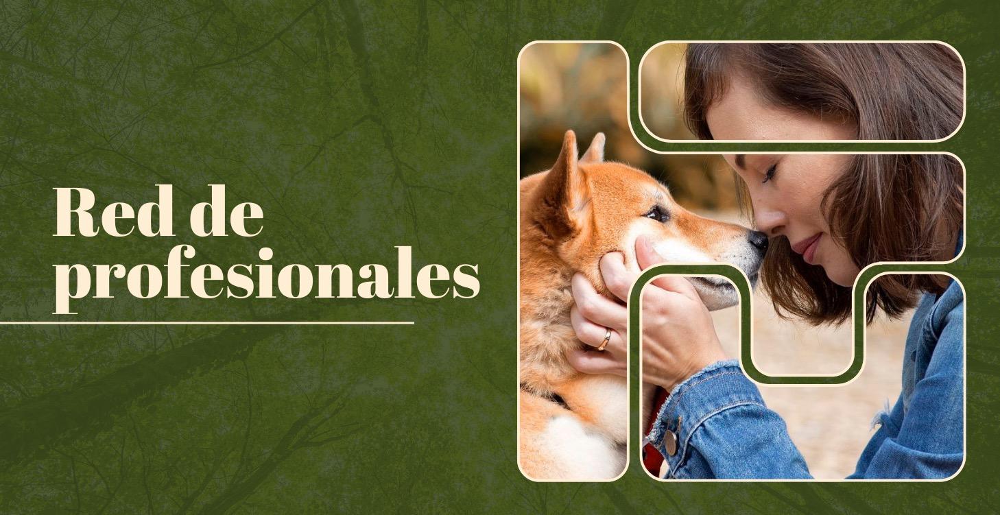 La red de profesionales