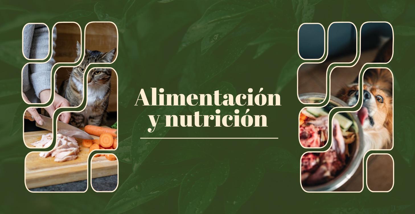 Alimentación y nutrición 🥩