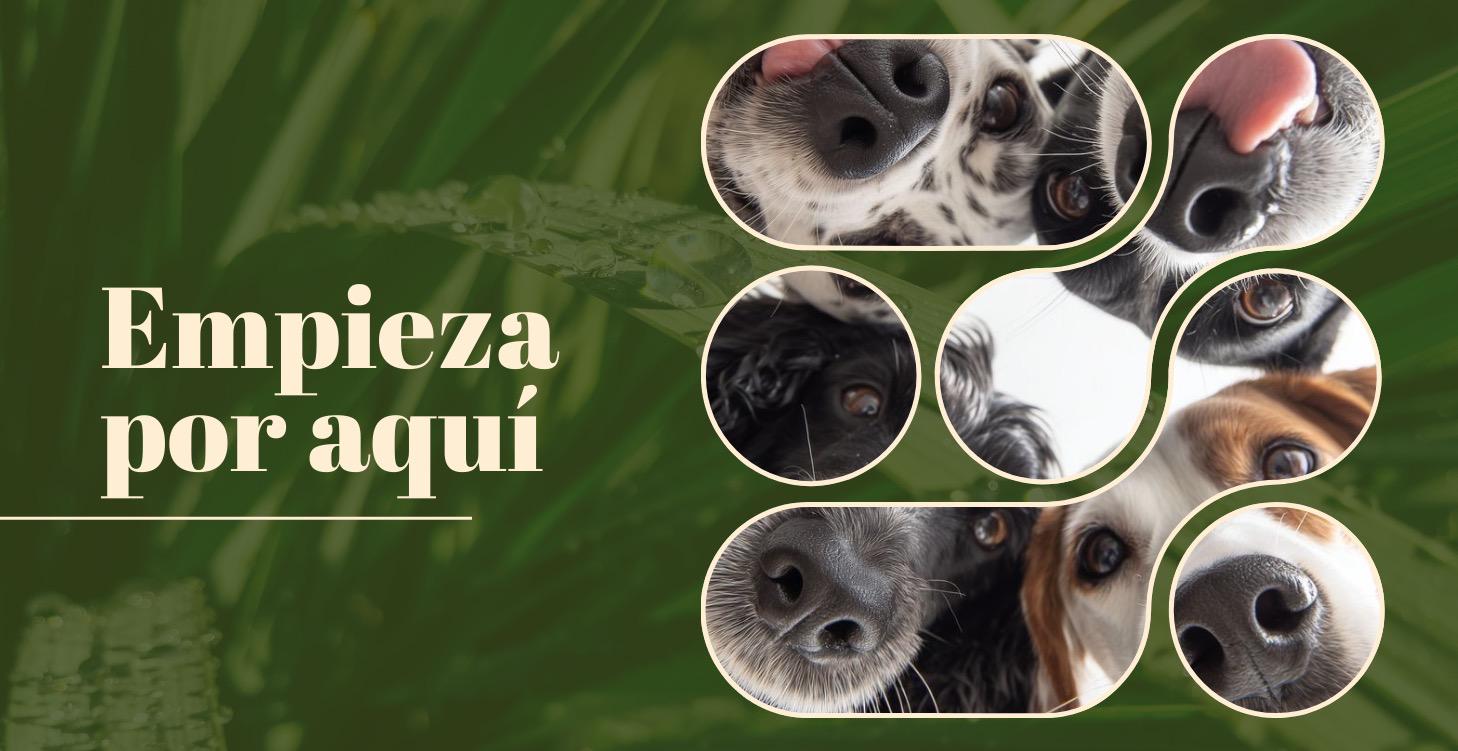 Empieza por aquí 🏡